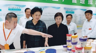 原中共中央政治局委員、國(guó)務(wù)院副總理劉延?xùn)|視察我公司